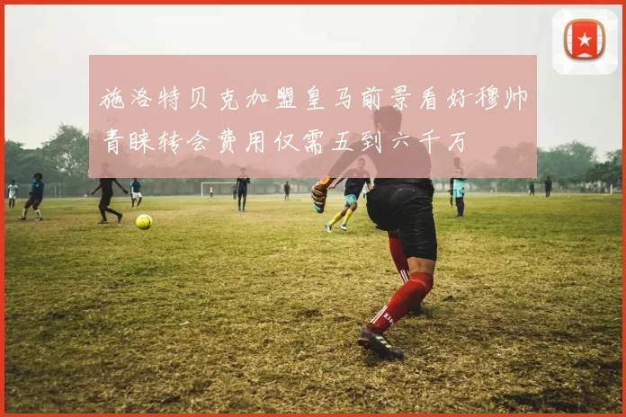 施洛特贝克加盟皇马前景看好穆帅青睐转会费用仅需五到六千万